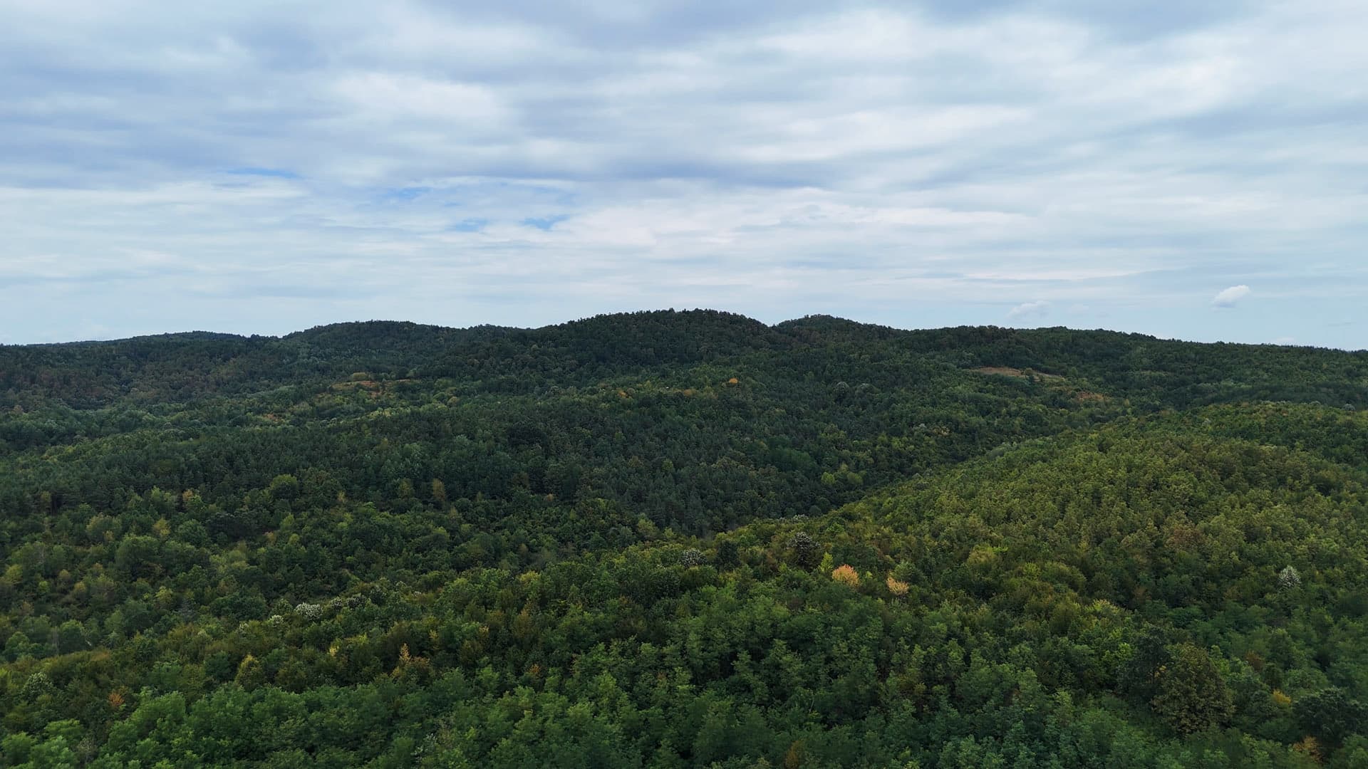 Cajnice project — Cu, Au, Ag, Zn, Pb